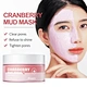 mud mask